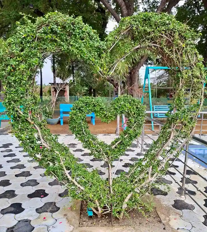 First Expansion & Service Upgrade