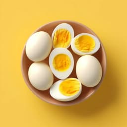egg-varieties